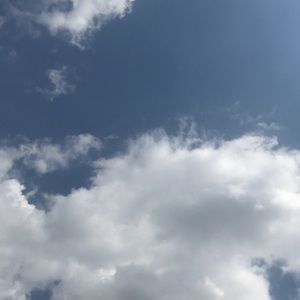 Meet your Posher, Marisa